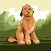 Cedar R. Avatar